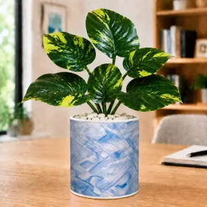 Artificial Tree Ceramic Photo Pot With White Stones 3x4 Inch (F164753) Artificial Tree Ceramic Photo Pot With White Stones 3x4 Inch (F164753)