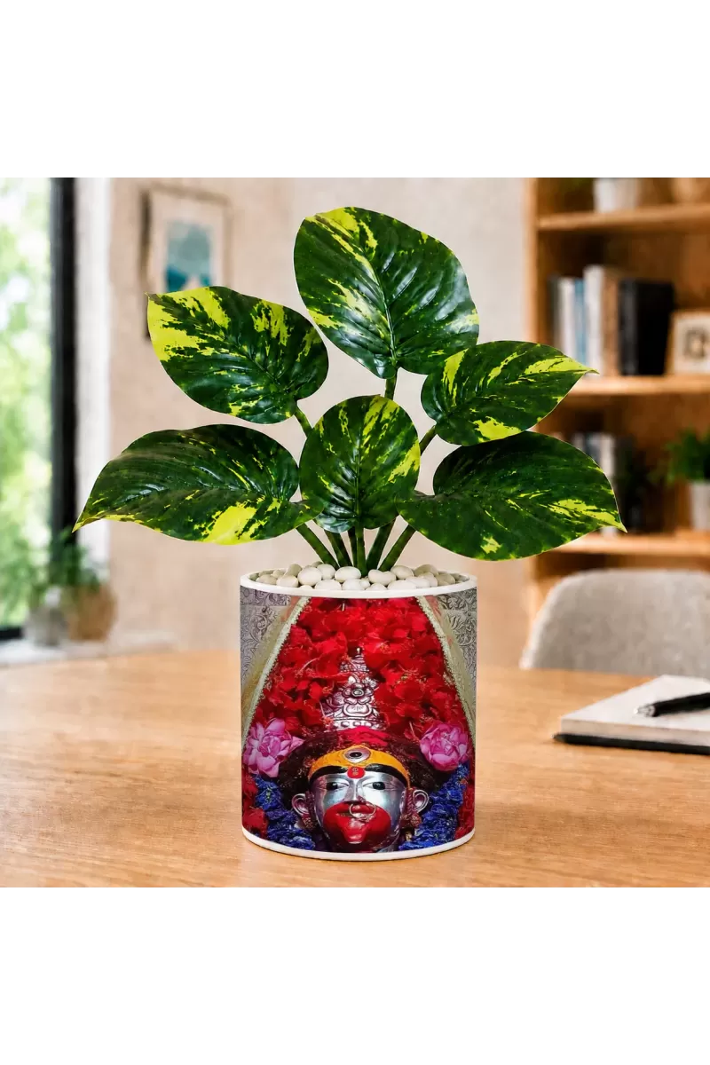 Artificial Tree Ceramic Photo Pot With White Stones 3x4 Inch (F164758)