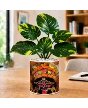 Artificial Tree Ceramic Photo Pot With White Stones 3x4 Inch (F164772)