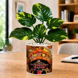 Artificial Tree Ceramic Photo Pot With White Stones 3x4 Inch (F164772) Artificial Tree Ceramic Photo Pot With White Stones 3x4 Inch (F164772)