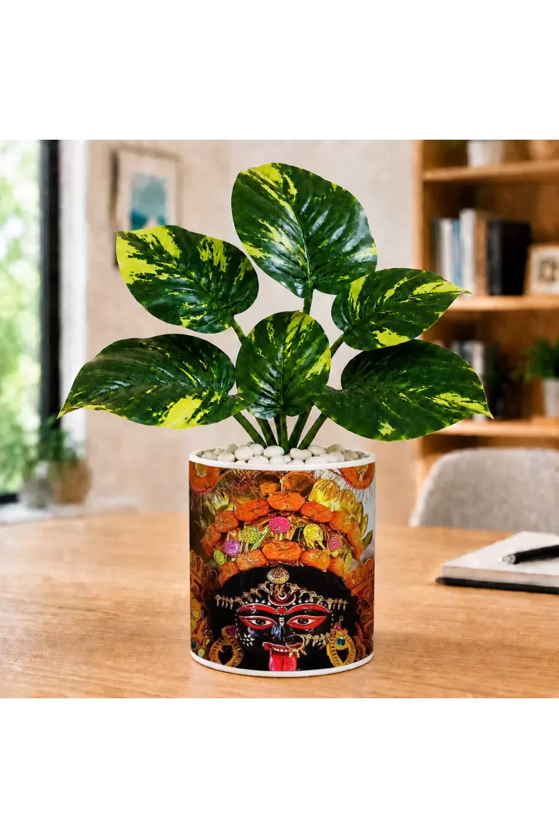 Artificial Tree Ceramic Photo Pot With White Stones 3x4 Inch (F164772)