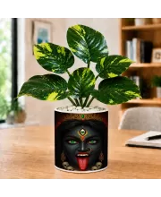 Artificial Tree Ceramic Photo Pot With White Stones 3x4 Inch (F164774)
