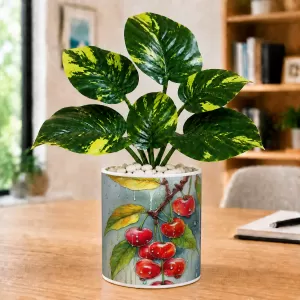 Artificial Tree Ceramic Photo Pot With White Stones 3x4 Inch (F164783) Artificial Tree Ceramic Photo Pot With White Stones 3x4 Inch (F164783)