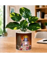 Artificial Tree Ceramic Photo Pot With White Stones 3x4 Inch (F164784)