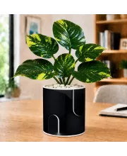 Artificial Tree Ceramic Photo Pot With White Stones 3x4 Inch (F164792)