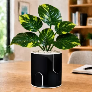 Artificial Tree Ceramic Photo Pot With White Stones 3x4 Inch (F164792)