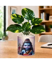 Artificial Tree Ceramic Photo Pot With White Stones 3x4 Inch (F164793)
