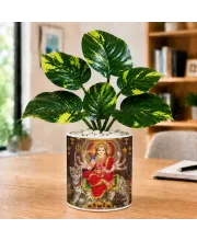 Artificial Tree Ceramic Photo Pot With White Stones 3x4 Inch (F164802)