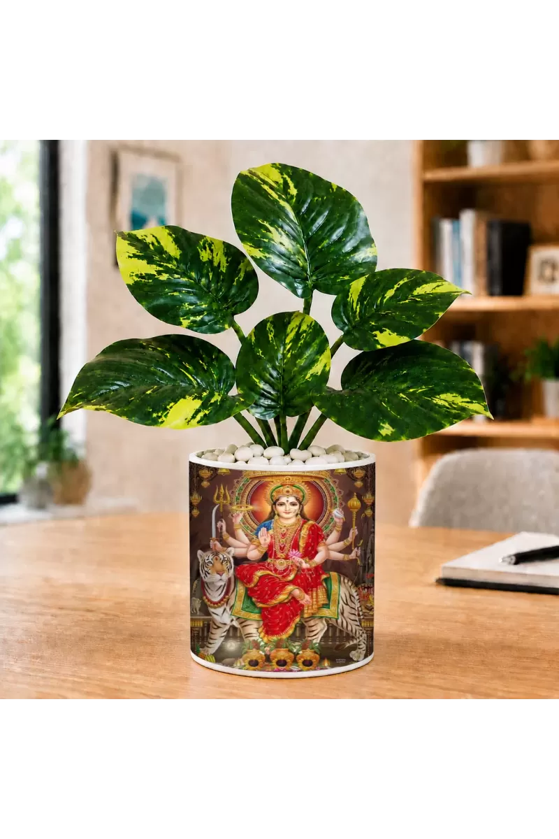 Artificial Tree Ceramic Photo Pot With White Stones 3x4 Inch (F164802)