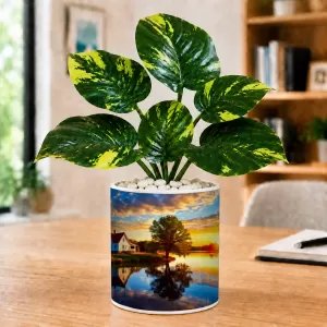 Artificial Tree Ceramic Photo Pot With White Stones 3x4 Inch (F164812) Artificial Tree Ceramic Photo Pot With White Stones 3x4 Inch (F164812)