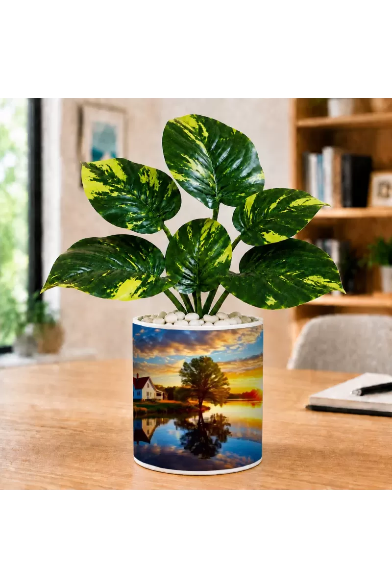 Artificial Tree Ceramic Photo Pot With White Stones 3x4 Inch (F164812)