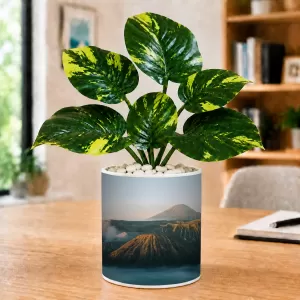 Artificial Tree Ceramic Photo Pot With White Stones 3x4 Inch (F164813) Artificial Tree Ceramic Photo Pot With White Stones 3x4 Inch (F164813)