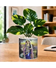 Artificial Tree Ceramic Photo Pot With White Stones 3x4 Inch (F164818)