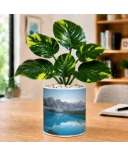 Artificial Tree Ceramic Photo Pot With White Stones 3x4 Inch (F164823)