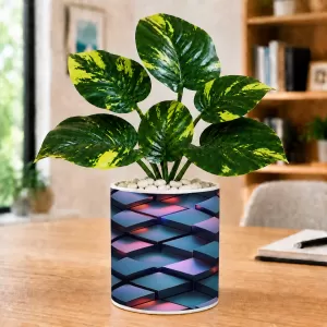 Artificial Tree Ceramic Photo Pot With White Stones 3x4 Inch (F164841)