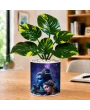 Artificial Tree Ceramic Photo Pot With White Stones 3x4 Inch (F164842)