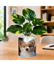 Artificial Tree Ceramic Photo Pot With White Stones 3x4 Inch (F164843)