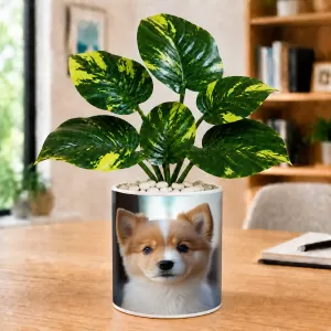 Artificial Tree Ceramic Photo Pot With White Stones 3x4 Inch (F164843)