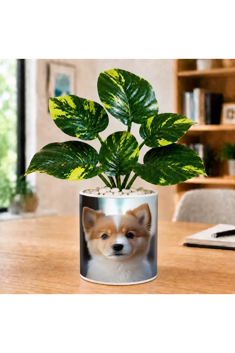 Artificial Tree Ceramic Photo Pot With White Stones 3x4 Inch (F164843)