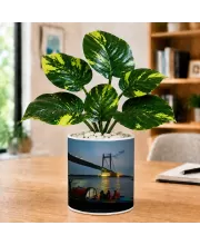 Artificial Tree Ceramic Photo Pot With White Stones 3x4 Inch (F164844)