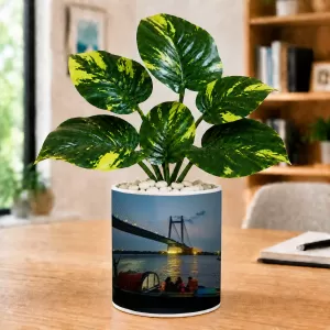 Artificial Tree Ceramic Photo Pot With White Stones 3x4 Inch (F164844)