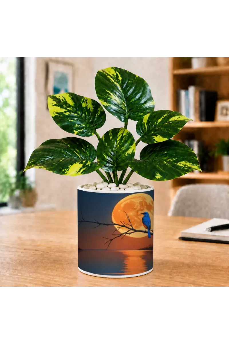 Artificial Tree Ceramic Photo Pot With White Stones 3x4 Inch (F164848)