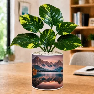Artificial Tree Ceramic Photo Pot With White Stones 3x4 Inch (F164849) Artificial Tree Ceramic Photo Pot With White Stones 3x4 Inch (F164849)