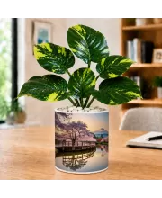 Artificial Tree Ceramic Photo Pot With White Stones 3x4 Inch (F164853)
