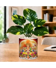 Artificial Tree Ceramic Photo Pot With White Stones 3x4 Inch (F164858)