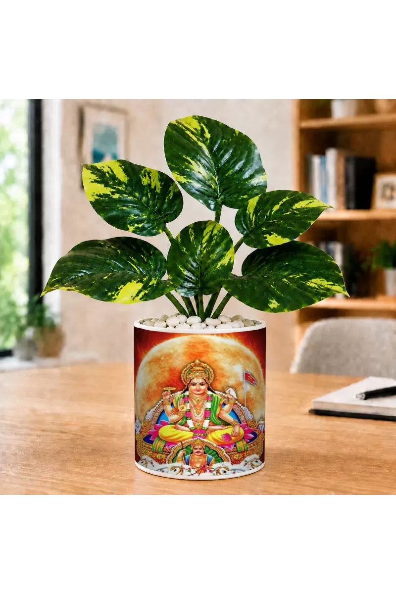 Artificial Tree Ceramic Photo Pot With White Stones 3x4 Inch (F164858)