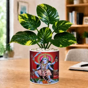 Artificial Tree Ceramic Photo Pot With White Stones 3x4 Inch (F164861) Artificial Tree Ceramic Photo Pot With White Stones 3x4 Inch (F164861)