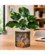 Artificial Tree Ceramic Photo Pot With White Stones 3x4 Inch (F164862)