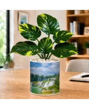 Artificial Tree Ceramic Photo Pot With White Stones 3x4 Inch (F164863)