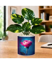 Artificial Tree Ceramic Photo Pot With White Stones 3x4 Inch (F164874)