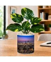 Artificial Tree Ceramic Photo Pot With White Stones 3x4 Inch (F164888)