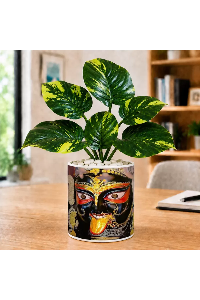 Artificial Tree Ceramic Photo Pot With White Stones 3x4 Inch (F164896)