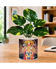 Artificial Tree Ceramic Photo Pot With White Stones 3x4 Inch (F164899)