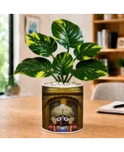 Artificial Tree Ceramic Photo Pot With White Stones 3x4 Inch (F164905)