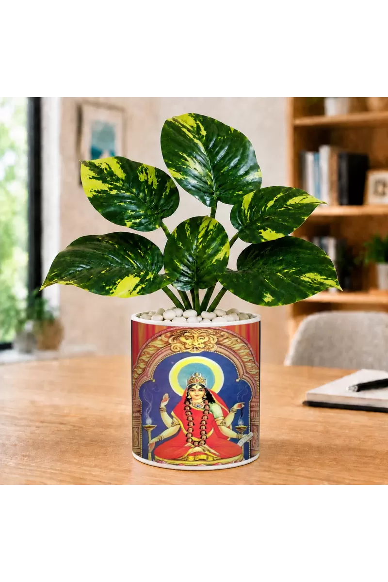 Artificial Tree Ceramic Photo Pot With White Stones 3x4 Inch (F164911)