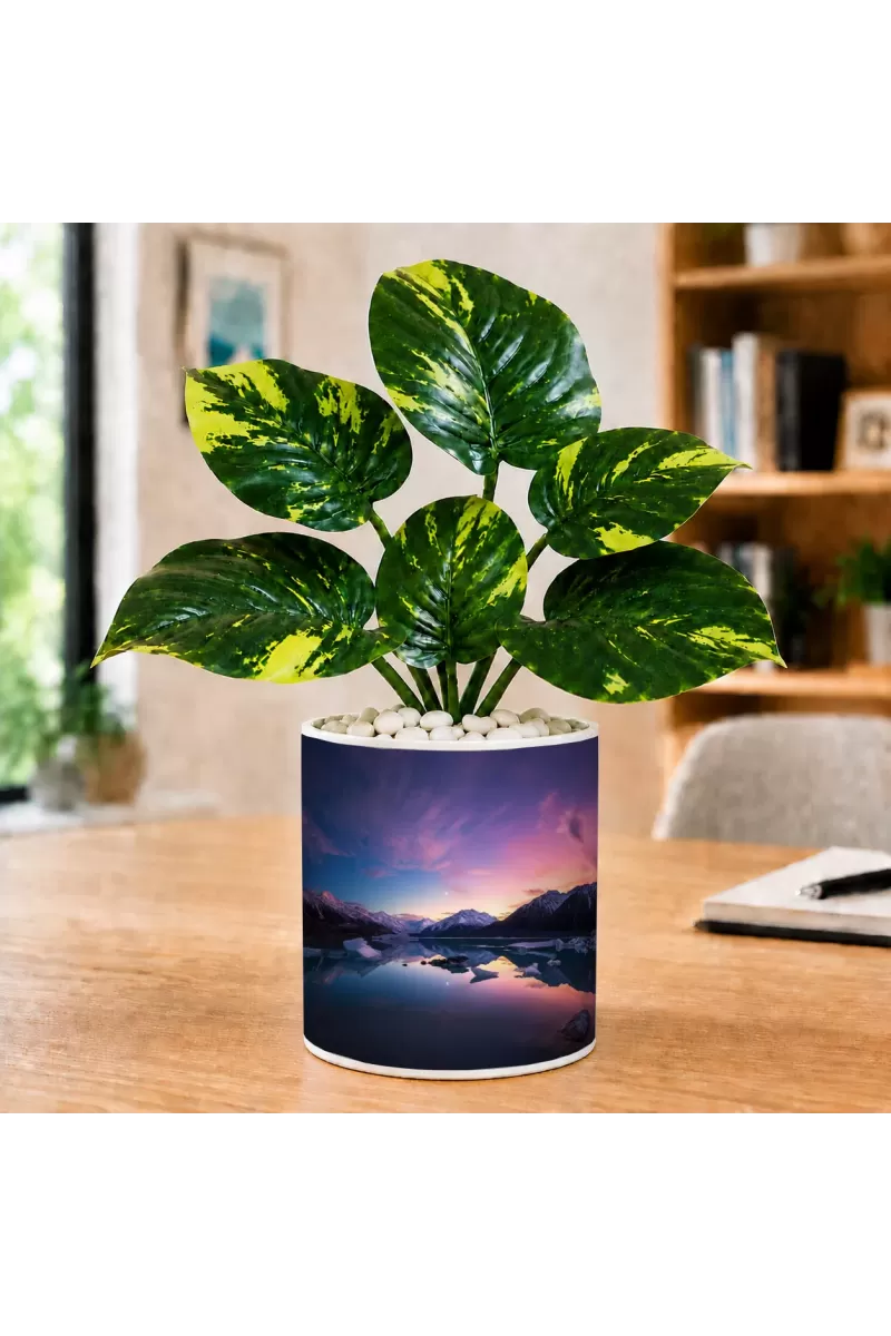 Artificial Tree Ceramic Photo Pot With White Stones 3x4 Inch (F164912)