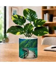 Artificial Tree Ceramic Photo Pot With White Stones 3x4 Inch (F164922)