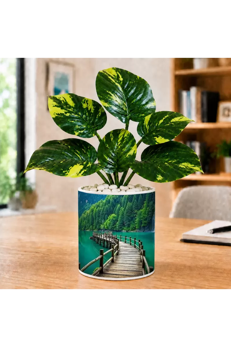 Artificial Tree Ceramic Photo Pot With White Stones 3x4 Inch (F164922)