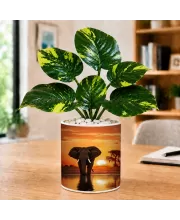Artificial Tree Ceramic Photo Pot With White Stones 3x4 Inch (F164925)