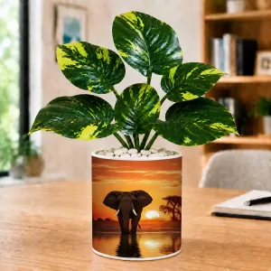Artificial Tree Ceramic Photo Pot With White Stones 3x4 Inch (F164925) Artificial Tree Ceramic Photo Pot With White Stones 3x4 Inch (F164925)