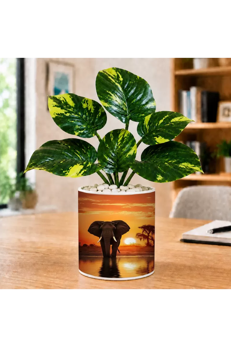 Artificial Tree Ceramic Photo Pot With White Stones 3x4 Inch (F164925)