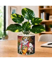 Artificial Tree Ceramic Photo Pot With White Stones 3x4 Inch (F164928)