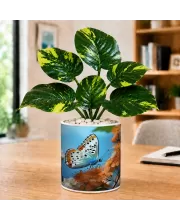 Artificial Tree Ceramic Photo Pot With White Stones 3x4 Inch (F164937)