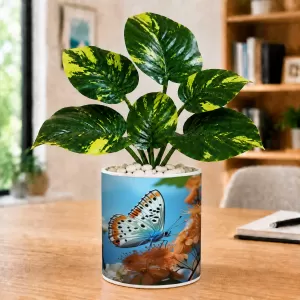 Artificial Tree Ceramic Photo Pot With White Stones 3x4 Inch (F164937) Artificial Tree Ceramic Photo Pot With White Stones 3x4 Inch (F164937)