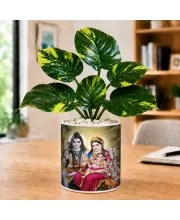 Artificial Tree Ceramic Photo Pot With White Stones 3x4 Inch (F164939)