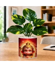 Artificial Tree Ceramic Photo Pot With White Stones 3x4 Inch (F164941)